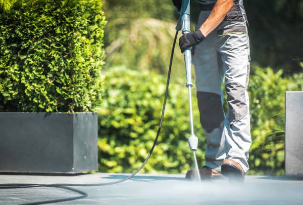 Best Residential House Exterior Washing  in Pleasant Valley, WV
