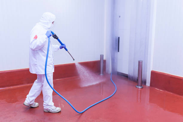 Best Driveway Pressure Washing  in Pleasant Valley, WV